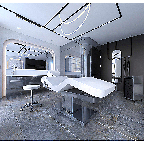 Naomi LG WMA profesionalni stol za masažu s inox nogama i kožnom presvlakom