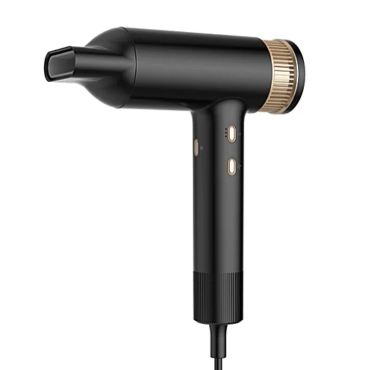 WT-646 BLDC sušilo za kosu - profesionalni fen